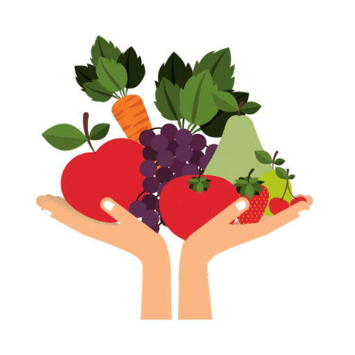 Meyve & Sebze Kuruları